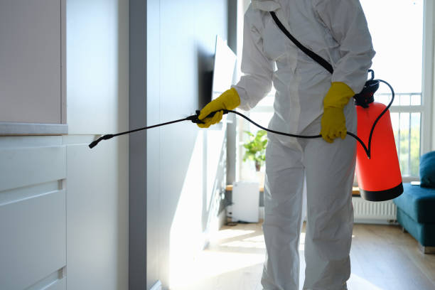 Mold Removal and Inspection in Spring Valley, IL